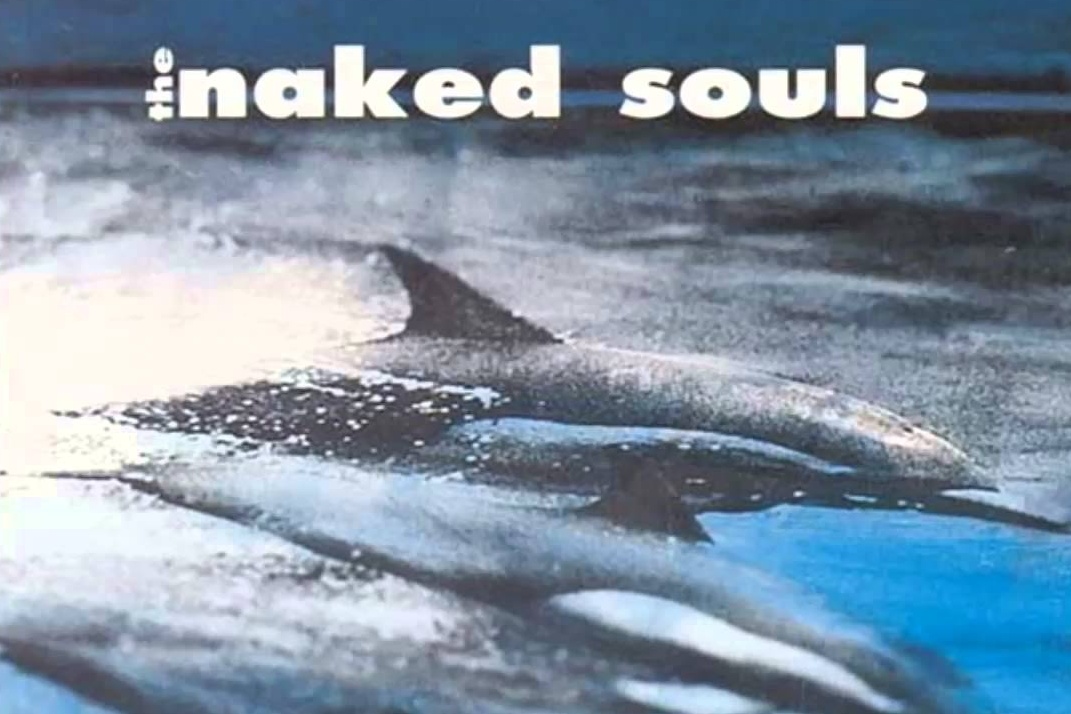 The Naked Souls - Two and One
