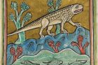 Zobrazení krokodýla v Rochesterském bestiáři (kolem roku 1200)