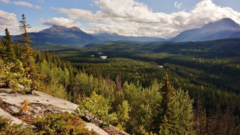 Monkmanův park v Britské Kolumbii v Kanadě znamená skutečnou divočinu