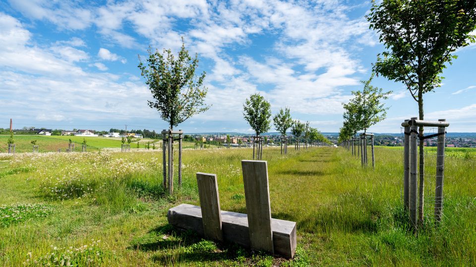 Park Zdeňka Kopala v Litomyšli | foto: Petr Soldán, archiv Evy Wagnerové Park Zdeňka Kopala v Litomyšli