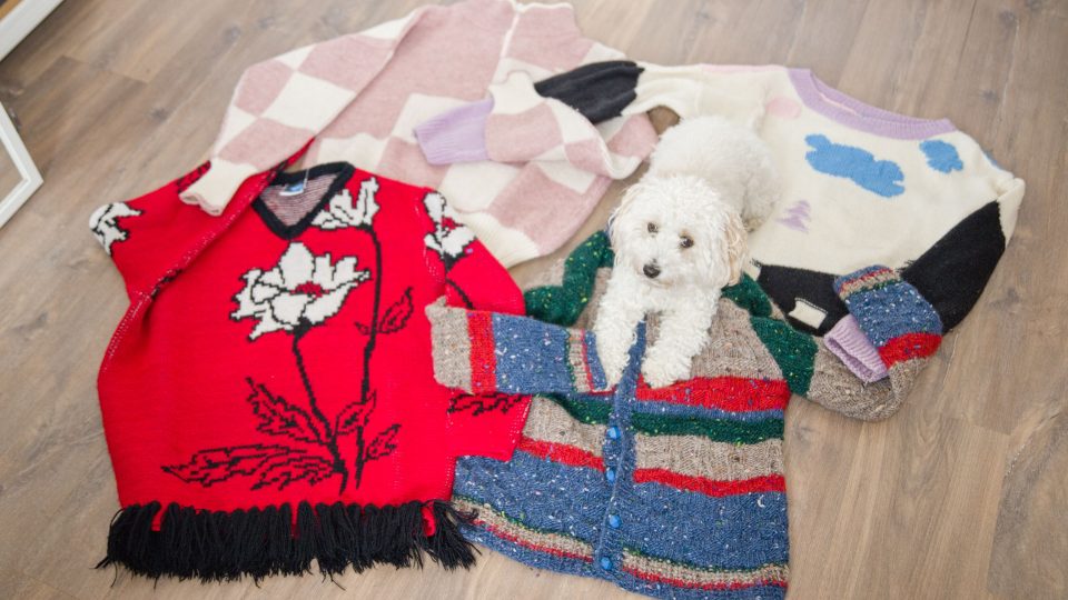 Sbírka sekáčových svetrů, Anna má ráda ručně pletené svetry a výrazné nězné motivy