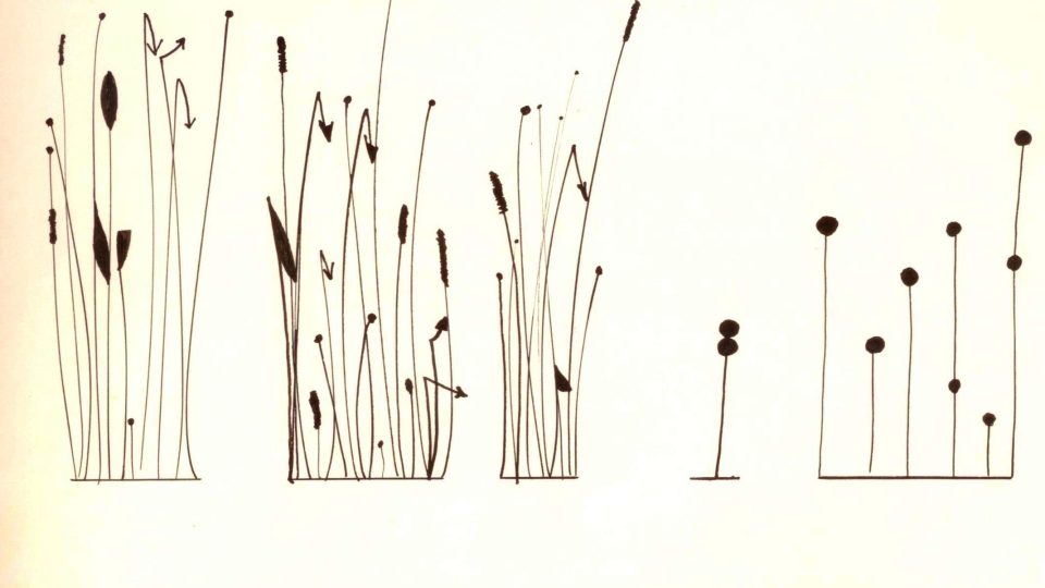 Jaroslav Šťastný (Peter Graham): Orfeova Zahrada partitura (77 + 2 listy), 1976–1998 tuš, fix, papír 240 × 33 cm (soukromá sbírka, Brno)