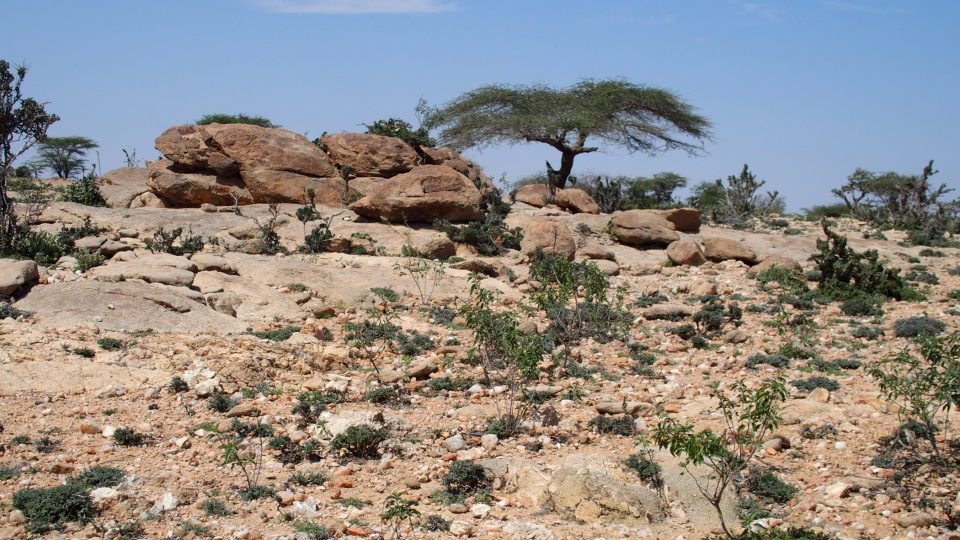Z cest Slavomíra Horáka po Somalilandu
