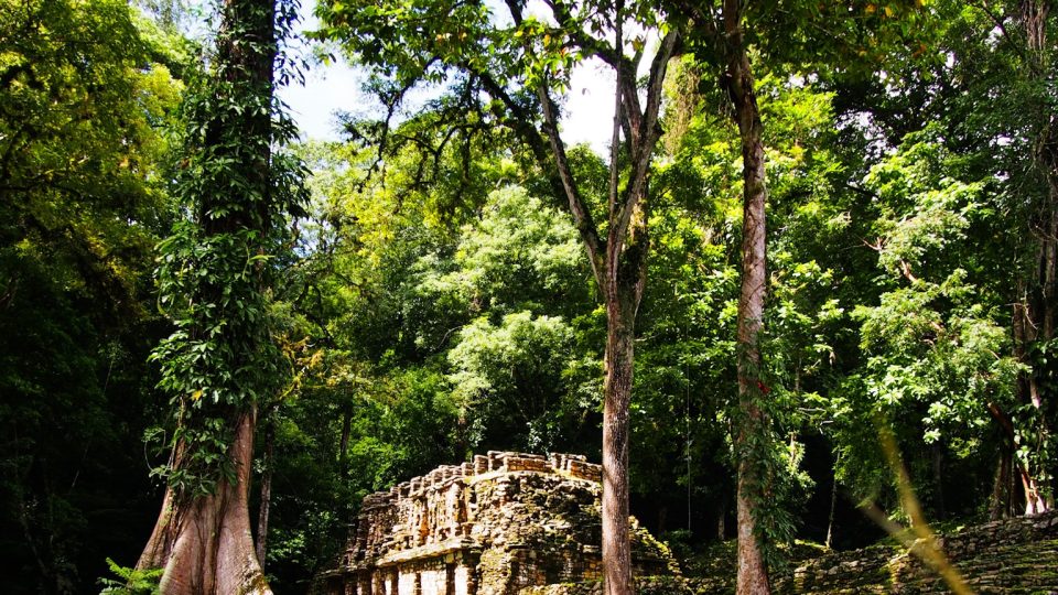 Mayské ruiny v Yaxchilánu uprostřed Lakandonské džungle