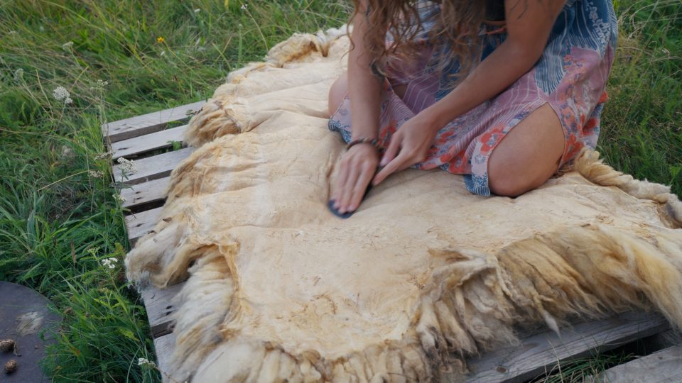 Ovčí kožešiny Báře pomohly přežít zimu ve stanu