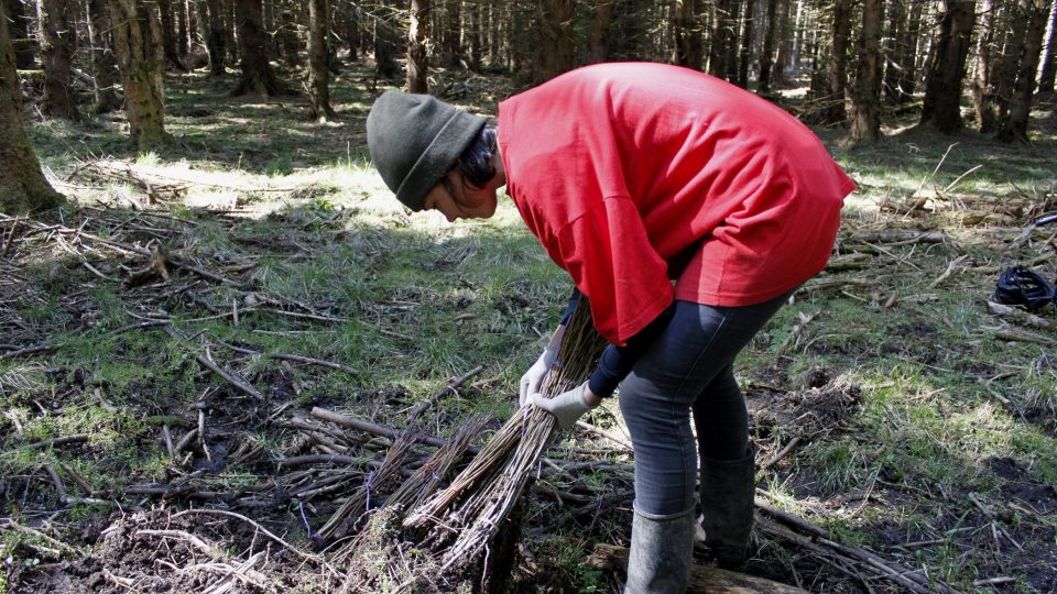 „Přišla jsem o skoro všechnu práci a sázení je pro mě teď hlavní pracovní náplní. Je to skvělé proniknutí do místního biotopu.“