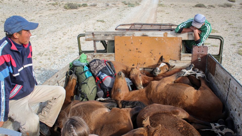 V Kyrgyzstánu, při prvním stopu v životě, Tonymu na korbě dělali společnost koně a ovce