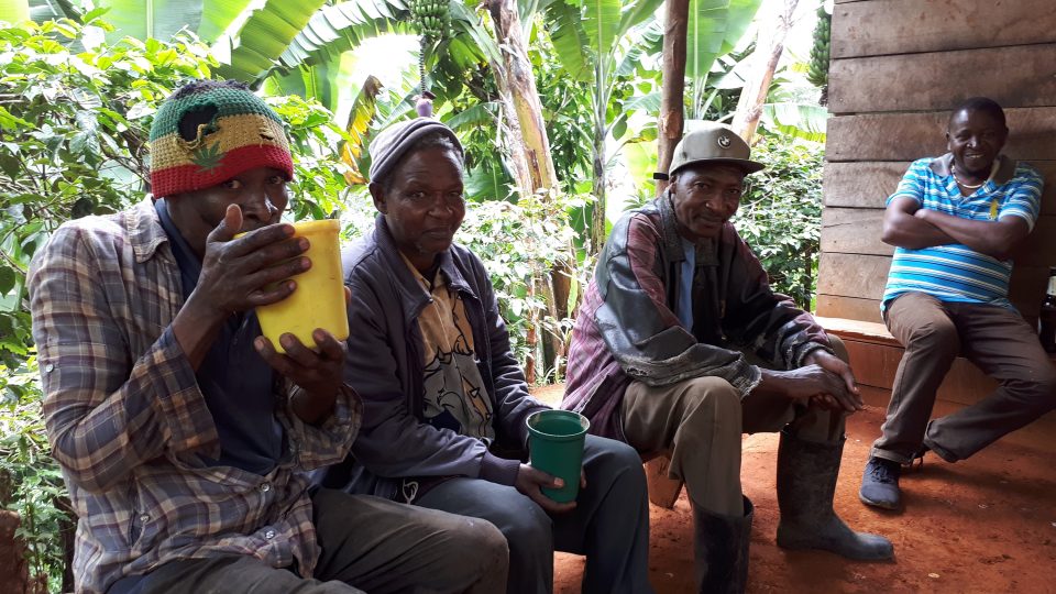 Místní pijí banánové pivo ve vesnici Materuni, Tanzanie