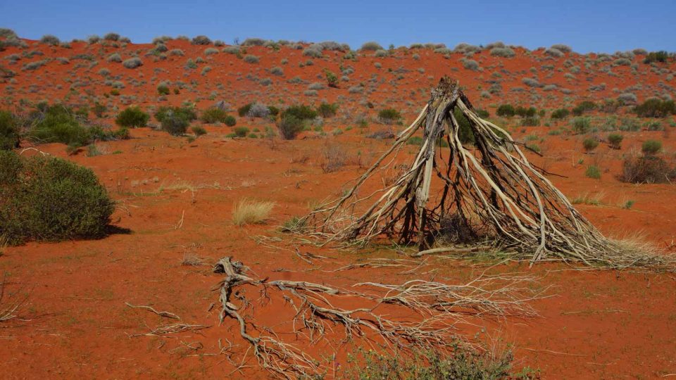 Z cesty Davida Langthalera přes Simpsonovu poušť v centrální Austrálii