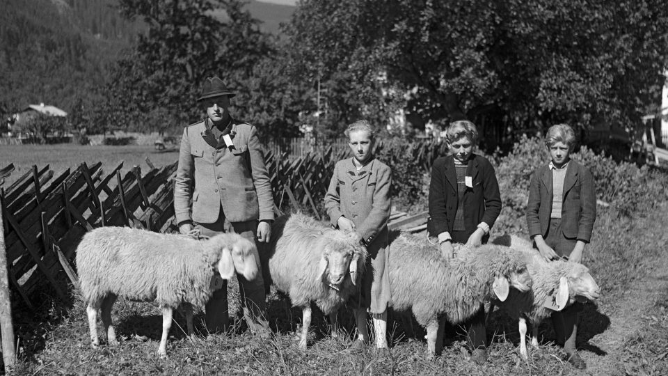 Lois Hechenblaikner: Bauern mit 4 Schafen
