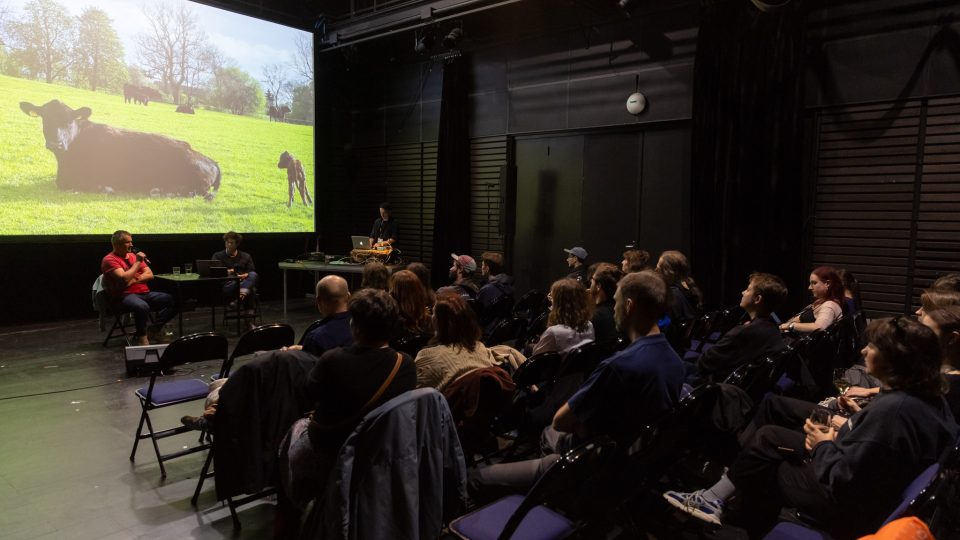 Podhoubí na MFDF v Jihlavě