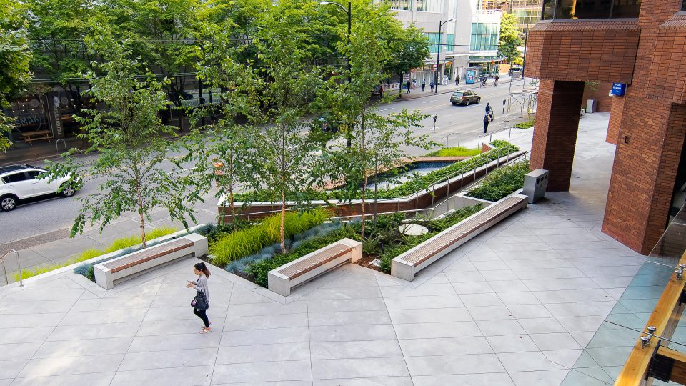 Místo dlažby zeleň. Projekt Connect Landscape Architecture na Pender Plaza ve Vancouveru