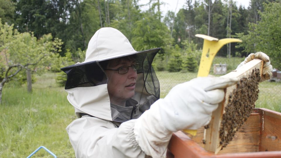 K dobrému včelaření je ale potřeba lítat kolem včelnice často a celý rok