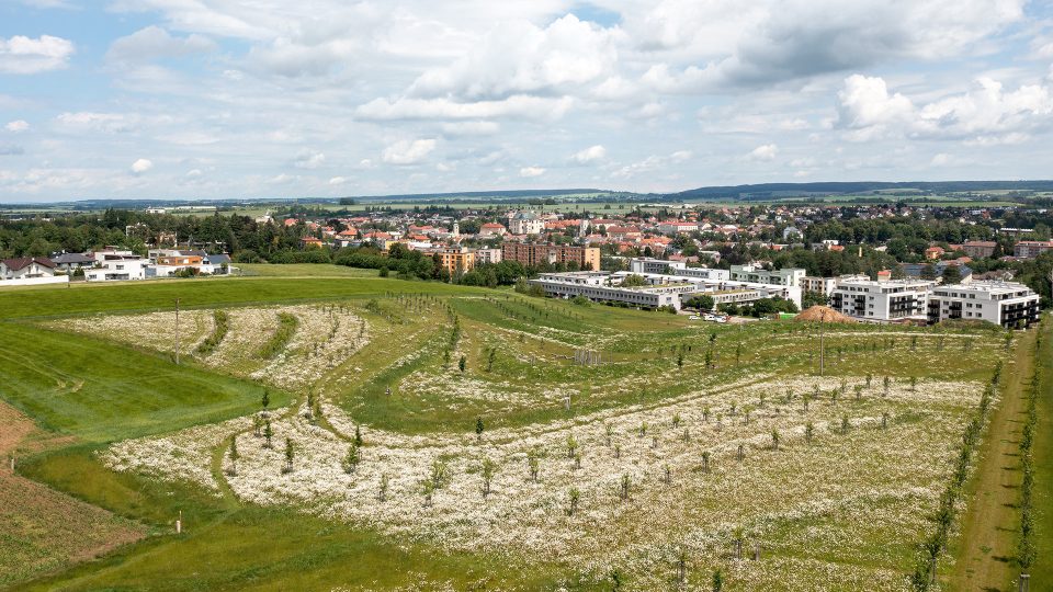 Park Zdeňka Kopala v Litomyšli | foto: Petr Soldán, archiv Evy Wagnerové Park Zdeňka Kopala v Litomyšli
