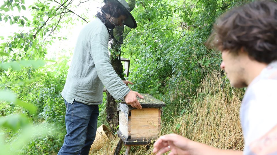 Fascinace včelou. Václav Smolík provozuje ubytování pro včely a nic za to nechce