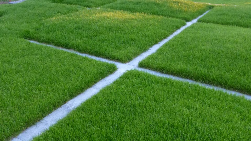 Zahrada rodiny Šíblových v Brně | foto: Kateřina Šíblová, archiv Evy Wagnerové Zahrada rodiny Šíblových v Brně