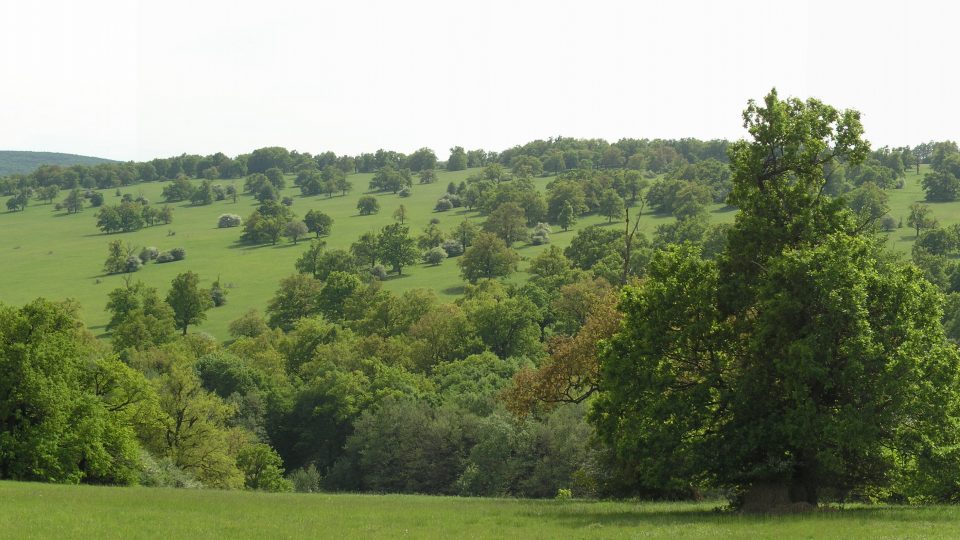 Čertoryje z Dubníků (panorama)
