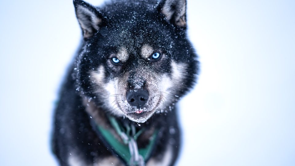 Cestovatel a fotograf Jan Hvízdal vypráví o svých cestách