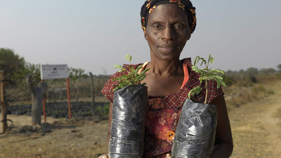 Poslouchejte Podhoubí o gender gapu v dopadech klimatické změny