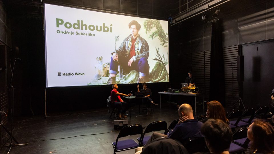 Podhoubí na MFDF v Jihlavě