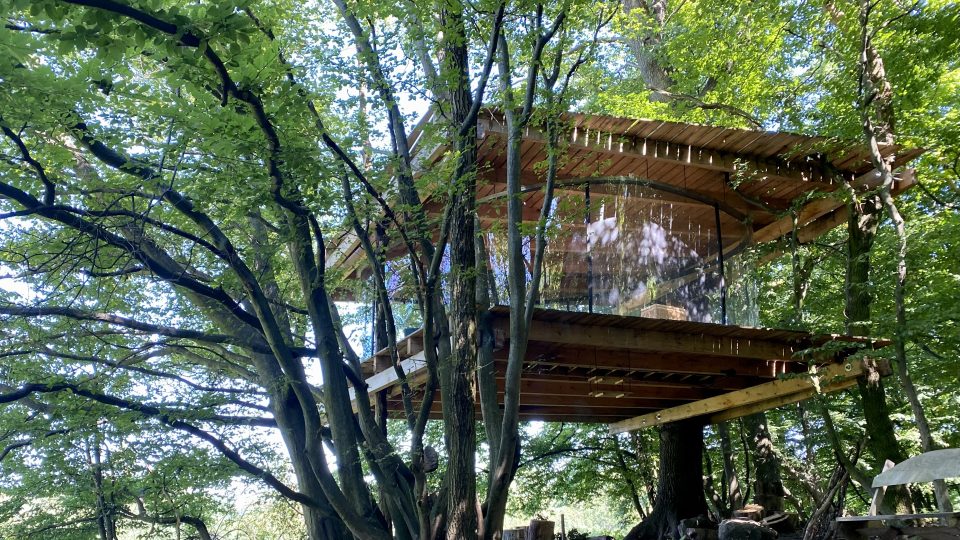 Tree-house Jana Tyrpekla