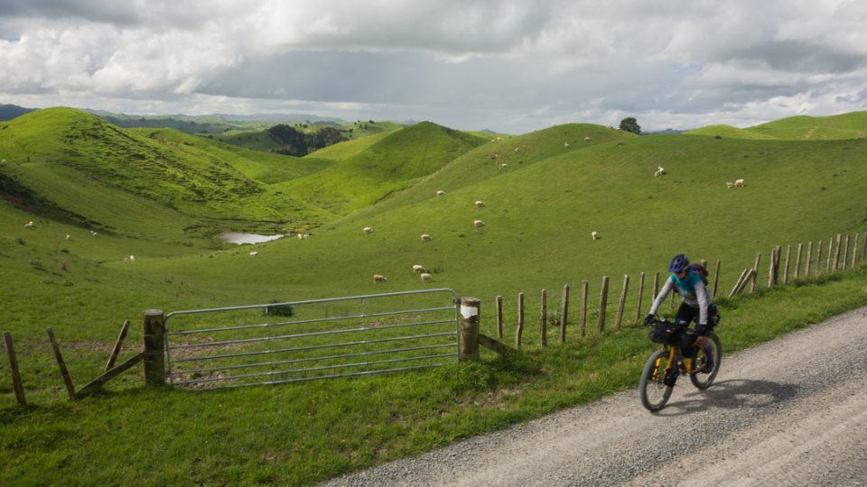Kolem pastvin pro ovce. Severní ostrov, Nový Zéland