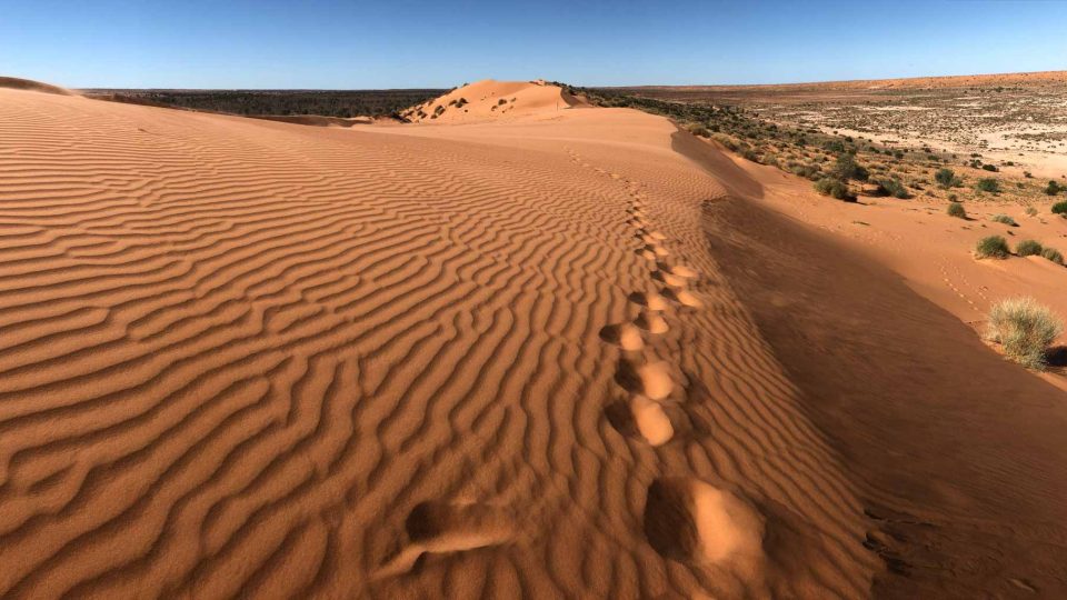 Z cesty Davida Langthalera přes Simpsonovu poušť v centrální Austrálii