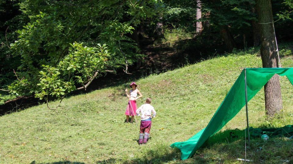 Podhoubí v přírodní rezervaci Bílé potoky