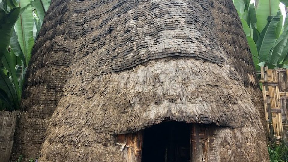 Tradiční venkovské obydlí ve tvaru sloní hlavy na jihu Etiopie