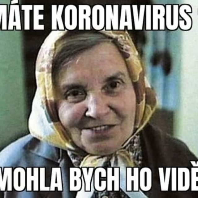 Koronavirus meme | foto: internetový humor/autor neznámý