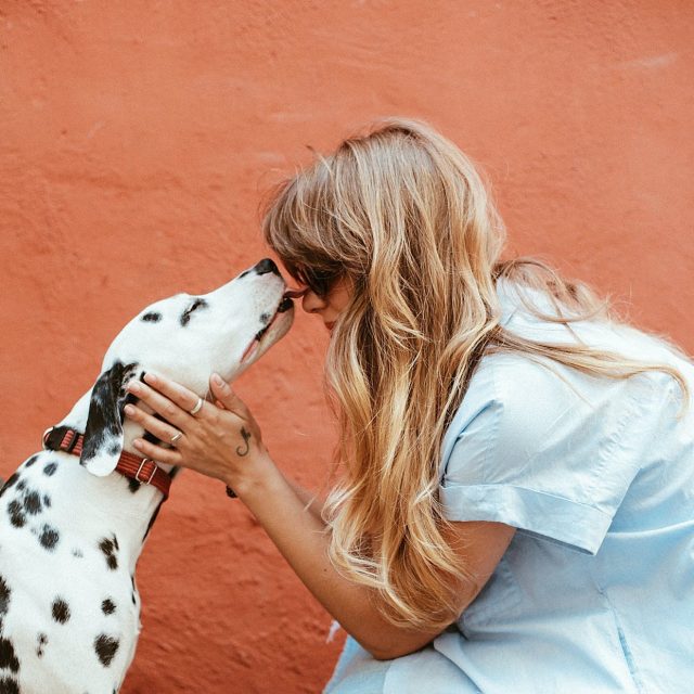 pes,  žena | foto: Pexels,  CC0 1.0