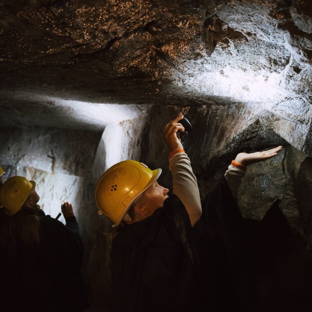 Údajně jedno z největších úložišť lithia v Evropě leží pod osadou Cínovec | foto: Marie Šrajerová
