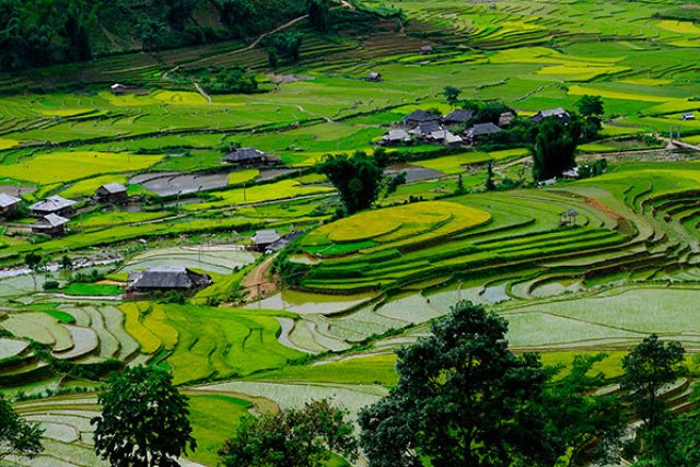 Barvy a tvary rýžových polí JV Asii | foto: Jan Styblík