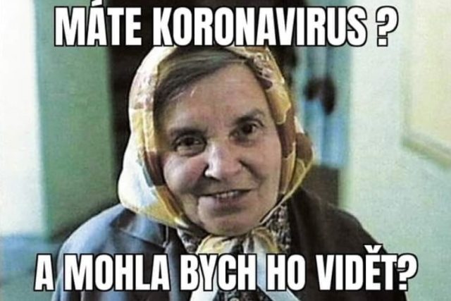 Koronavirus meme | foto: internetový humor/autor neznámý
