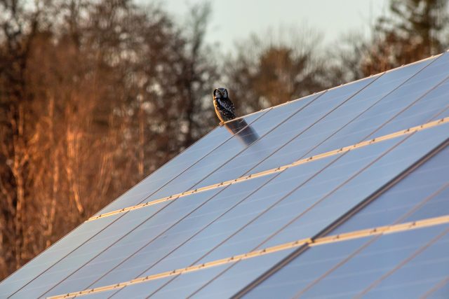 Budou jednou fotovoltaické panely na každé střeše? | foto: Unsplash,  Licence Unsplash