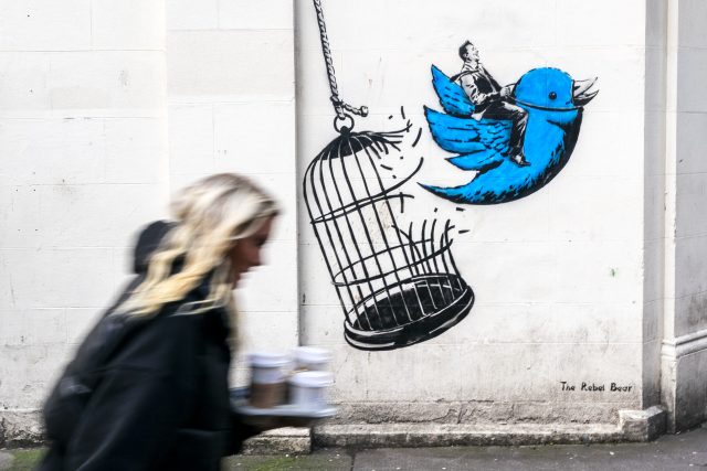 Street art od umělce,  který si říká Rebel Bear,  zobrazující přechod Twitteru pod Elona Muska. Nakolik je Muskovo vyobrazení trefné,  můžeme spekulovat | foto: Profimedia