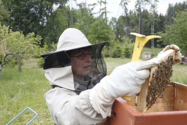 K dobrému včelaření je ale potřeba lítat kolem včelnice často a celý rok | foto: Ondřej Šebestík,  Český rozhlas