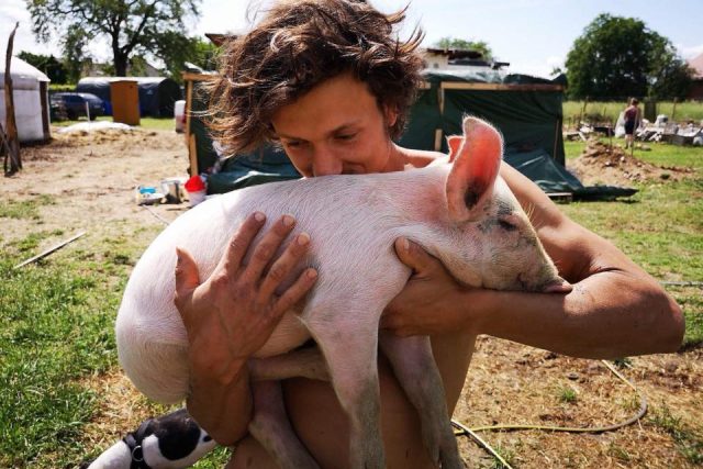 Farma Naděje zachraňuje zvířata z jatek  | foto: Farma Naděje Dobrovítov