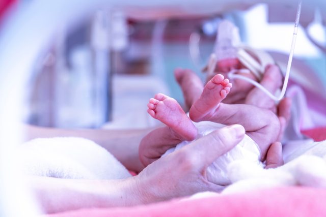 Předčasně narozené dítě v inkubátoru | foto: Shutterstock