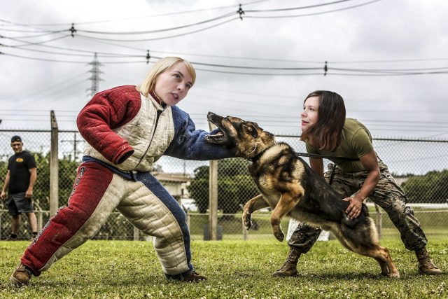 Psí buchty Ivana a Zuzana | foto: Jakub Kaifosz,  Český rozhlas,  CC0 1.0