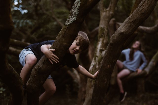 děti – děti v lese | foto: Unsplash,  CC0 1.0