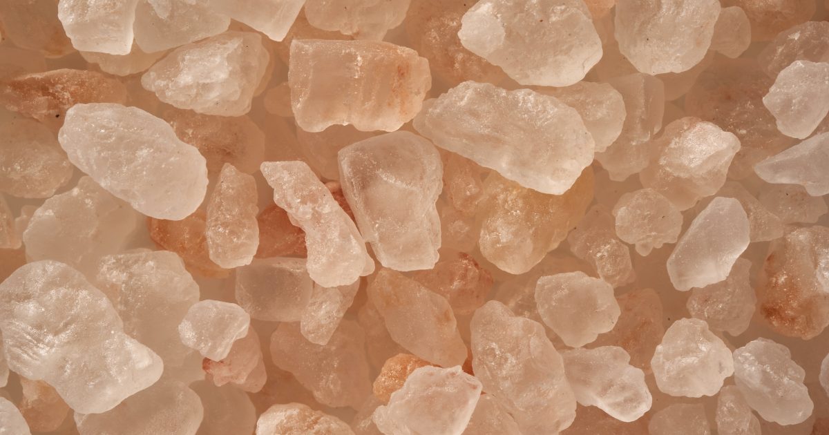 Il cristallo di sale di 830 milioni di anni può contenere la vita.  Gli scienziati vogliono aprirlo